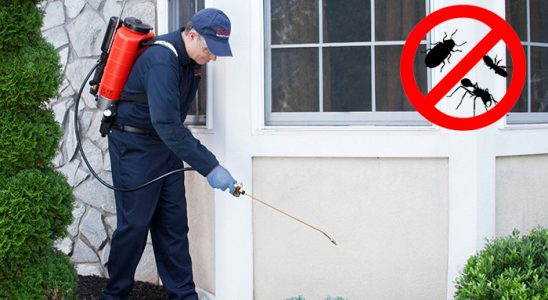 Güney Fare İlaçlama böcek ilaçlama ve haşere kontrolü — ilaclama-tr.com